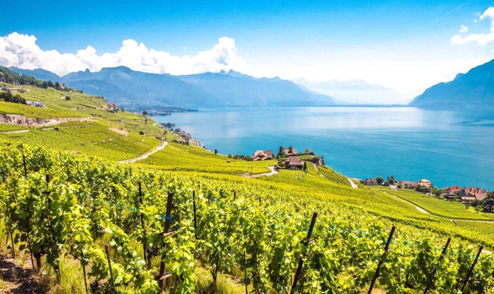 Chatonneyre Hotel & Restaurant Vevey Esterno foto
